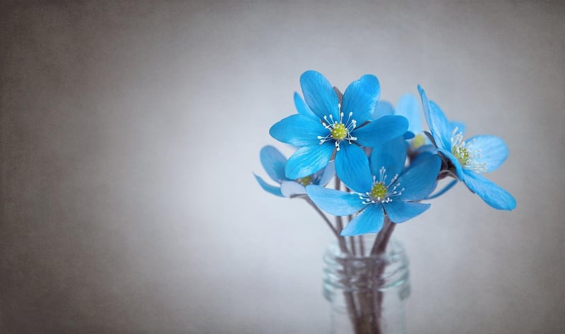 Floral Centerpieces